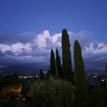 Villa The Green Door - Casa Vacanze Vicino A Roma Fonte Nuova Zewnętrze zdjęcie